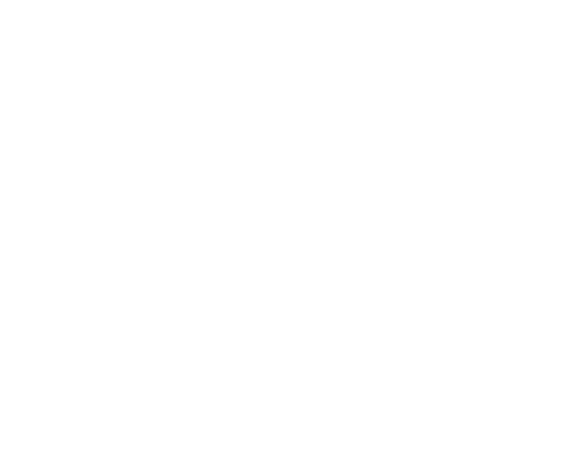 THE STORIES